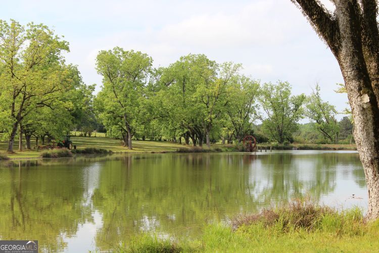 0 Shady Grove Road Hurtsboro, AL 36860 - Photo 9 of 19 a view of a lake with houses in the back