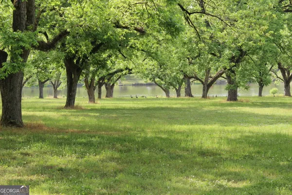 $1,400,000 | 0 Shady Grove Road, Hurtsboro, AL 36860
