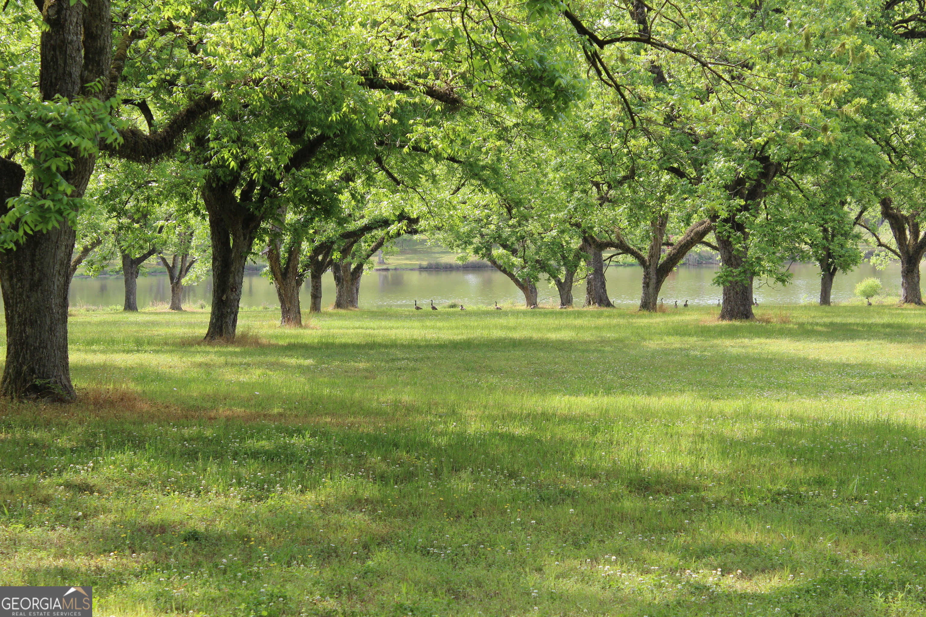 0 Shady Grove Road Hurtsboro, AL 36860 - Photo 10 of 19 a view of grassy field with trees