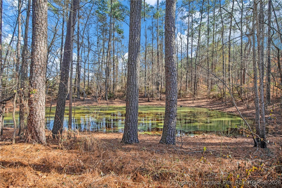 5049 Matt Hair Road Fayetteville, NC 28312 - Photo 34 of 37