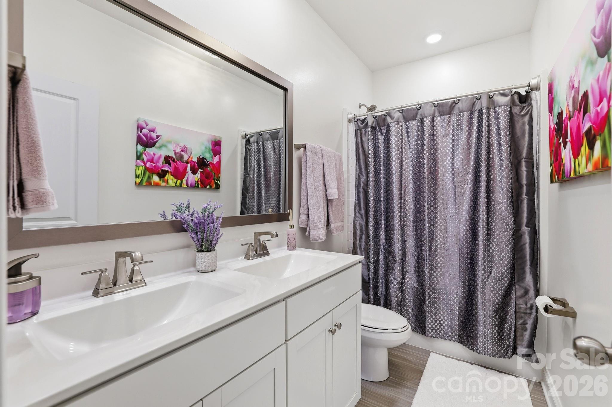 6038 Holland Street Fort Mill, SC 29707 - Photo 30 of 48 a bathroom with a sink a toilet and a mirror