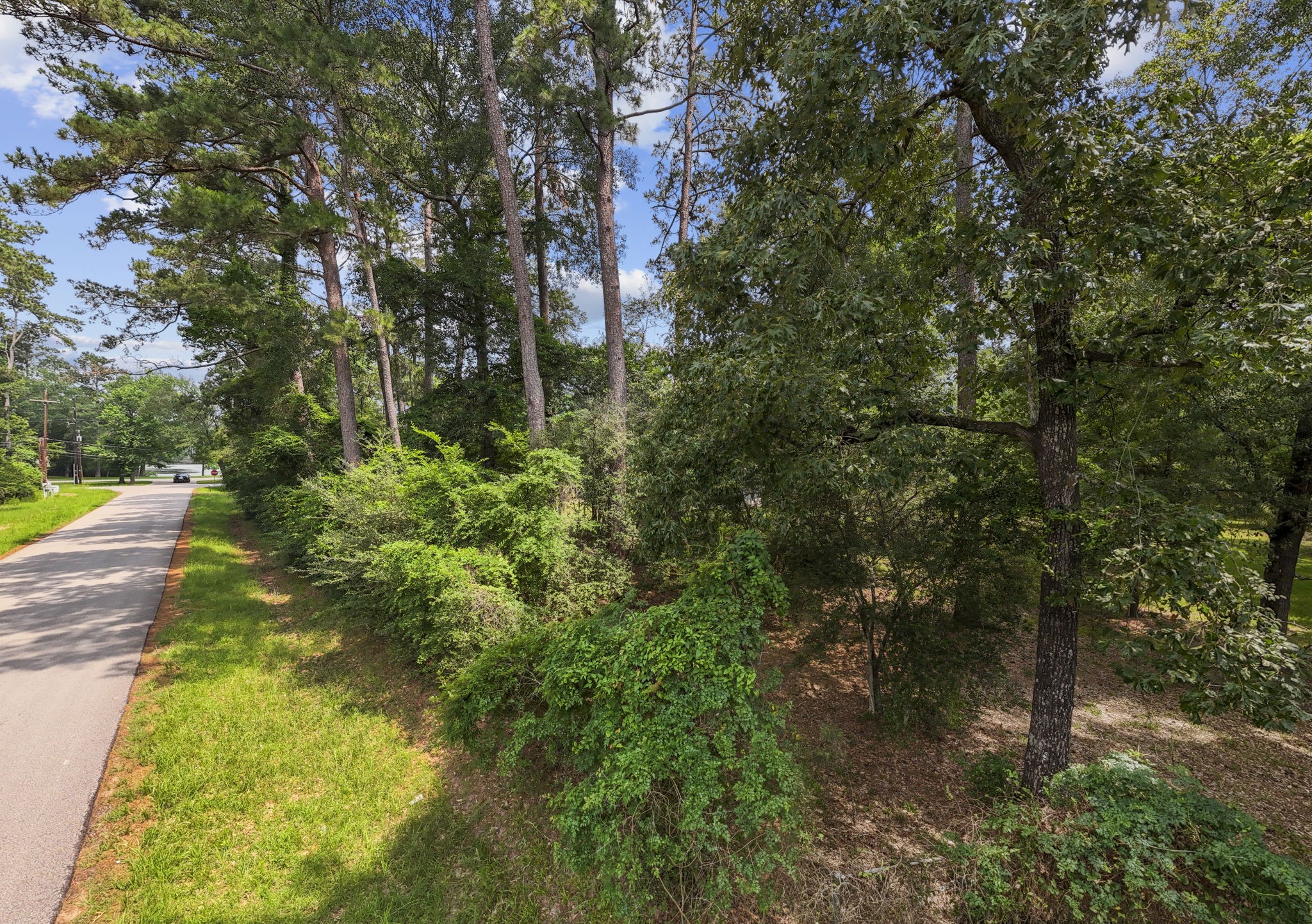 2395 Southline Road Conroe, TX 77384 - Photo 34 of 44 a view of a garden