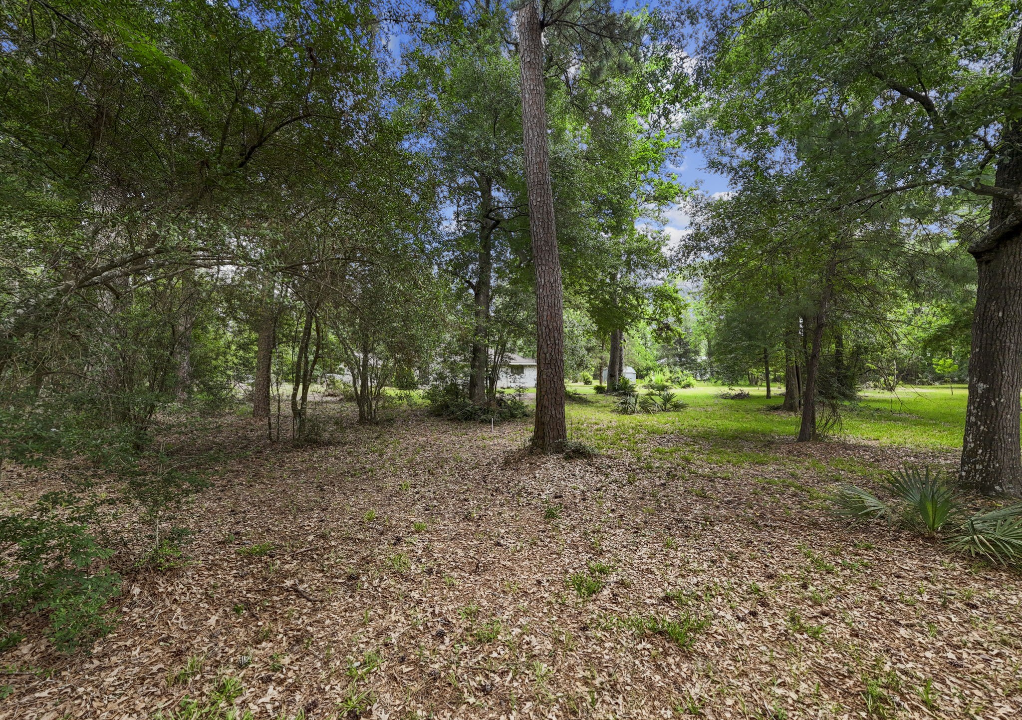 2395 Southline Road Conroe, TX 77384 - Photo 35 of 44 a view of a house with a yard