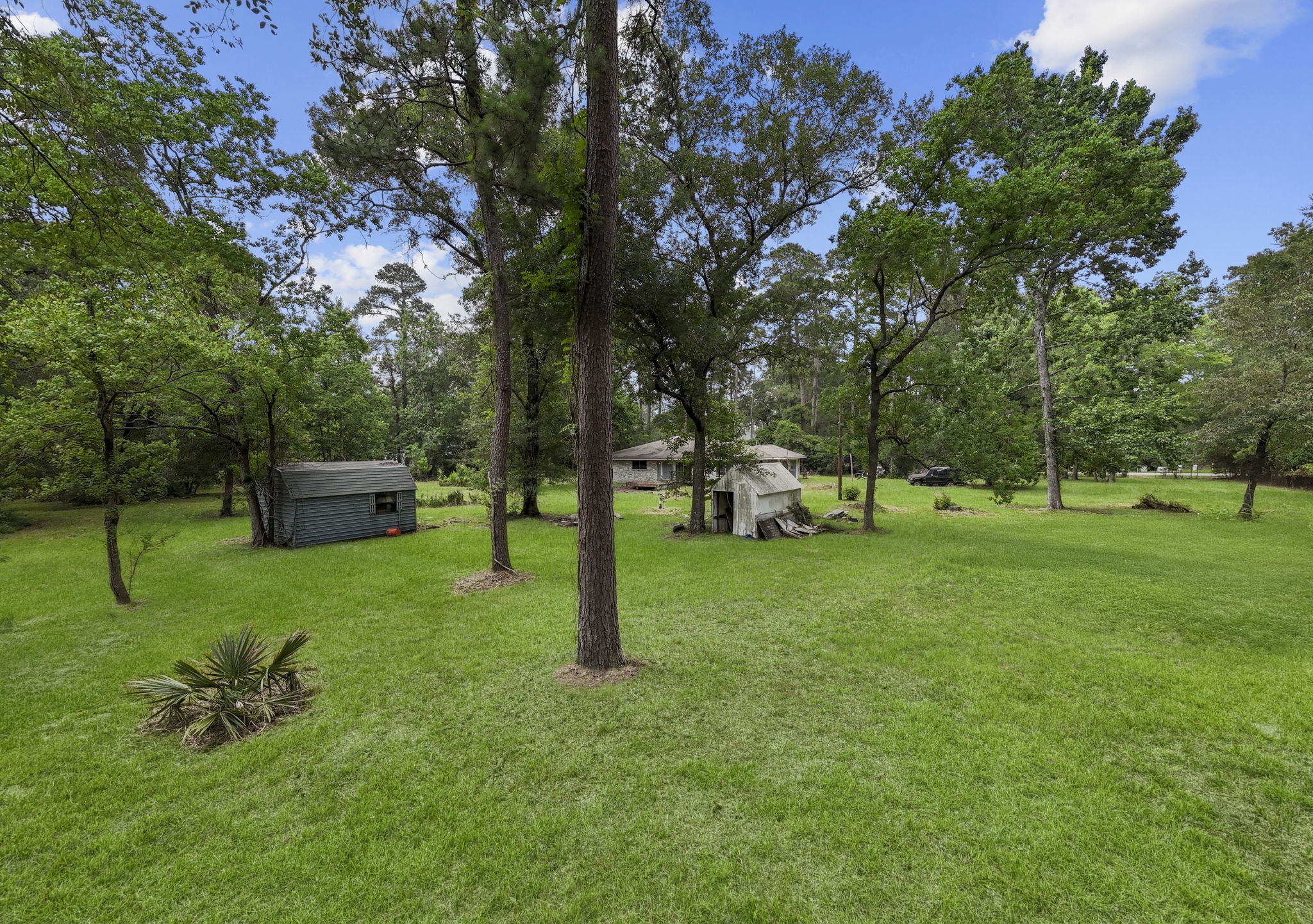 2395 Southline Road Conroe, TX 77384 - Photo 38 of 44 a garden view