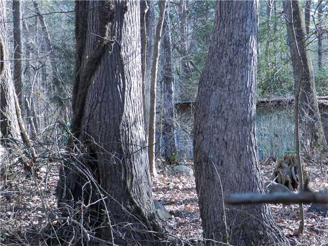 929 Hamlets Chapel Road Pittsboro, NC 27312 - Photo 19 of 21 Gallery Image 19