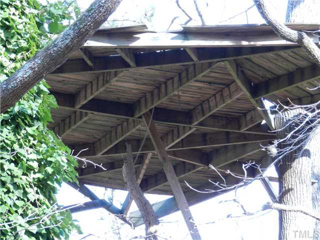 929 Hamlets Chapel Road Pittsboro, NC 27312 - Photo 20 of 21 Tall tree platform. No guarantees.