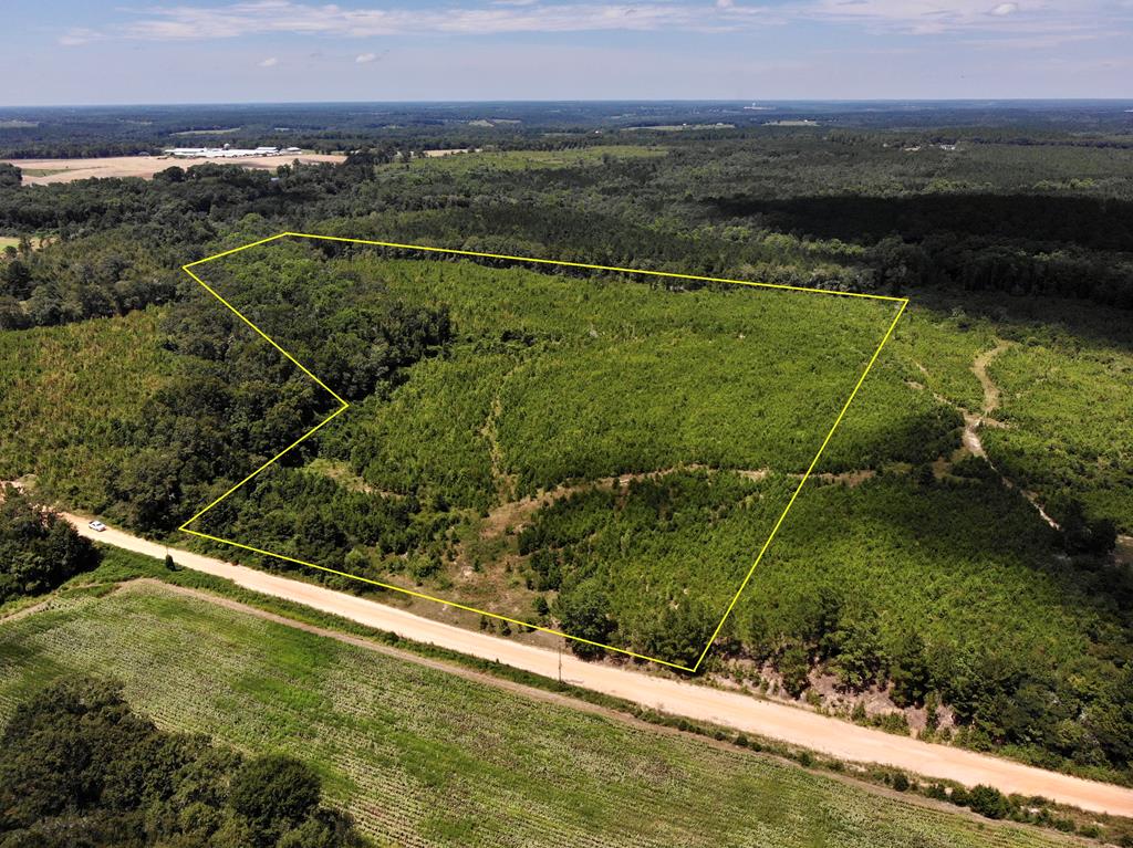 30-ac West Old Elba Road Coffee Springs, AL 36318 - Photo 7 of 19