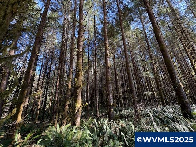 0 Logsden Road Blodgett, OR 97326 - Photo 19 of 24