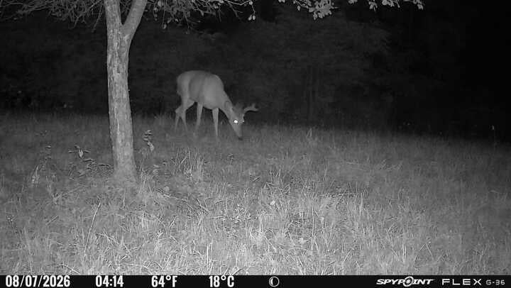 Vl East Riverside Drive Ionia, MI 48851 - Photo 10 of 22 Gallery Image 10