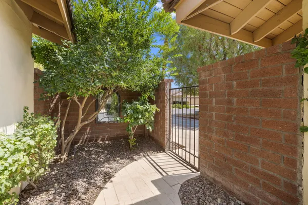 a view of small garden