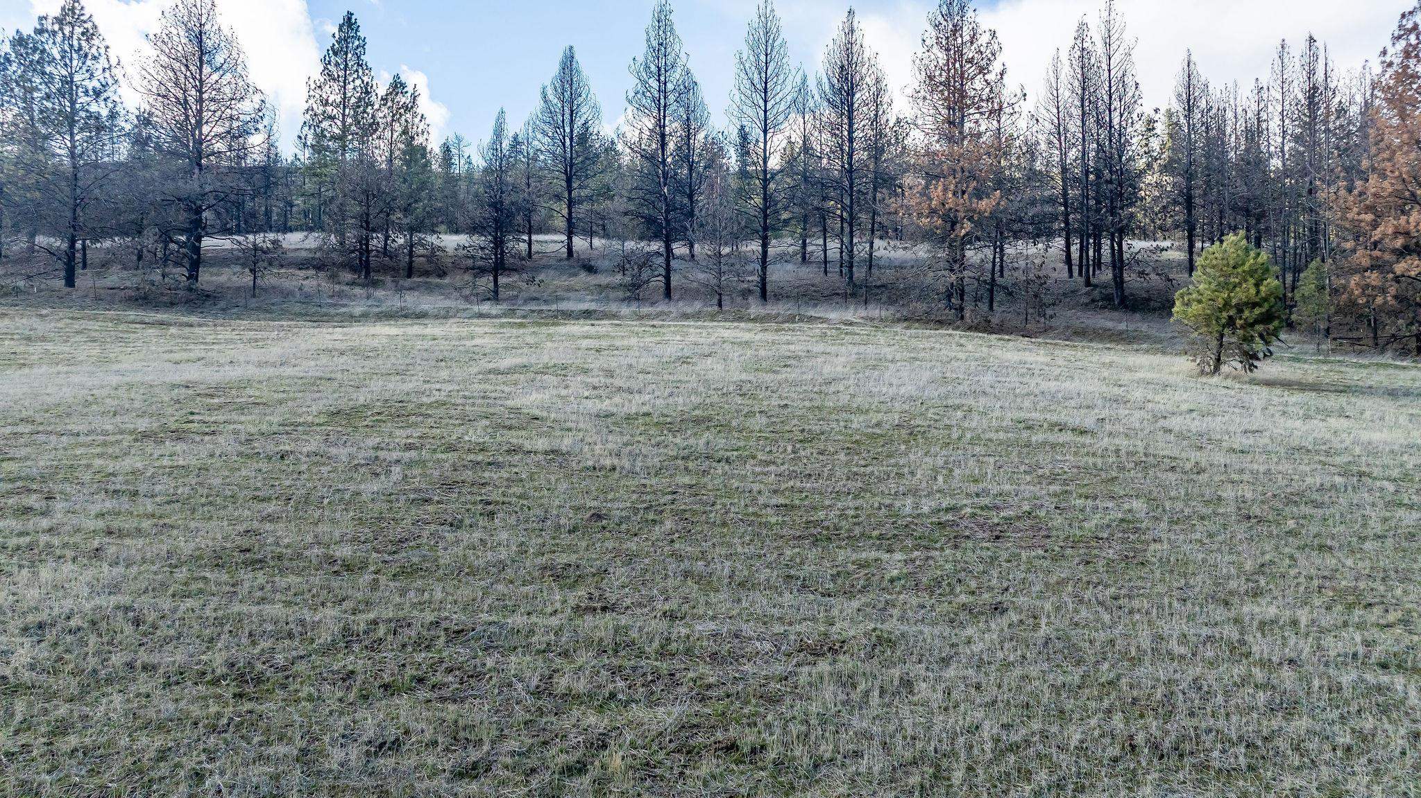 63-xx South Marshall Road Spokane, WA 99224 - Photo 11 of 36