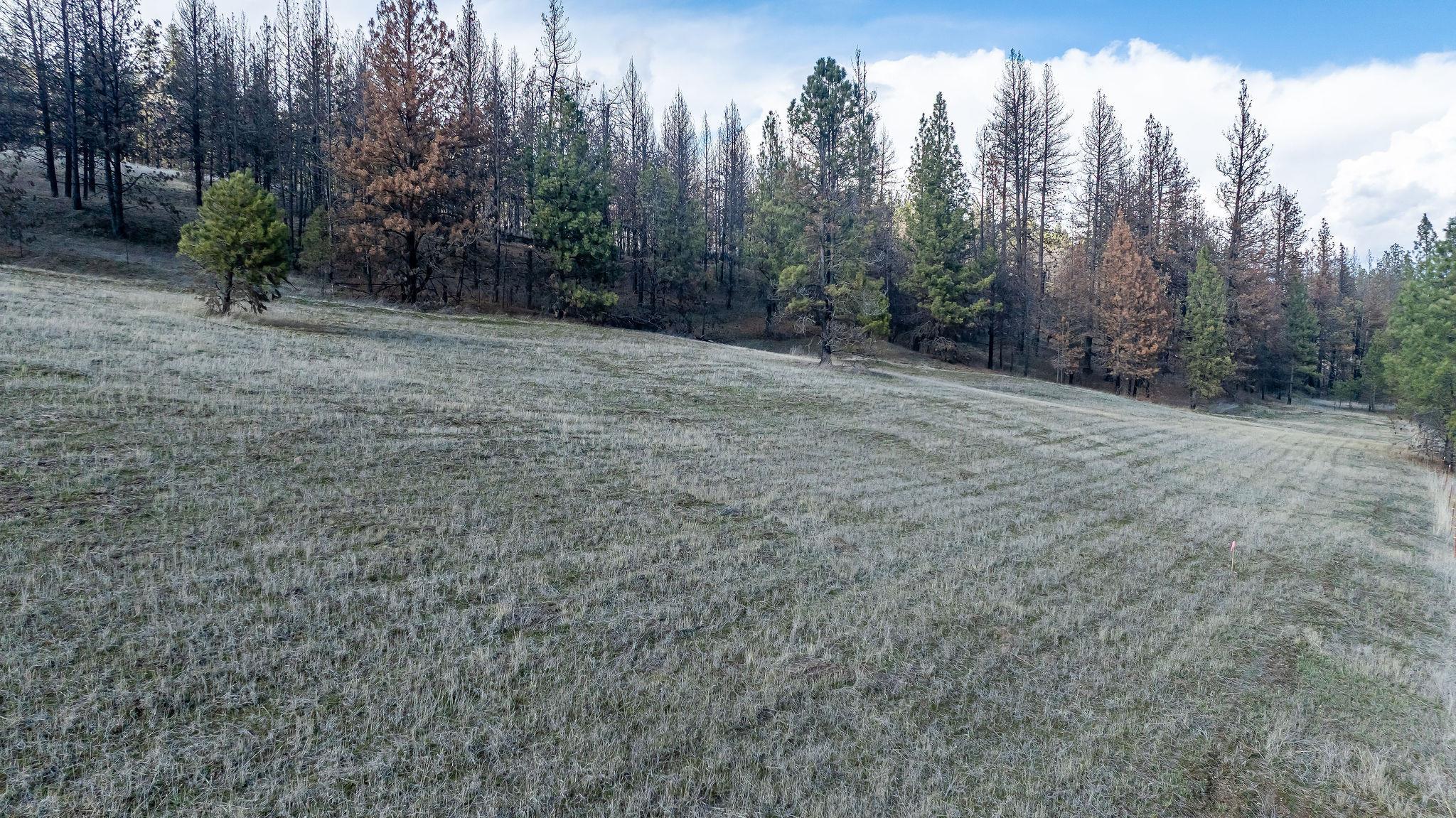 63-xx South Marshall Road Spokane, WA 99224 - Photo 13 of 36