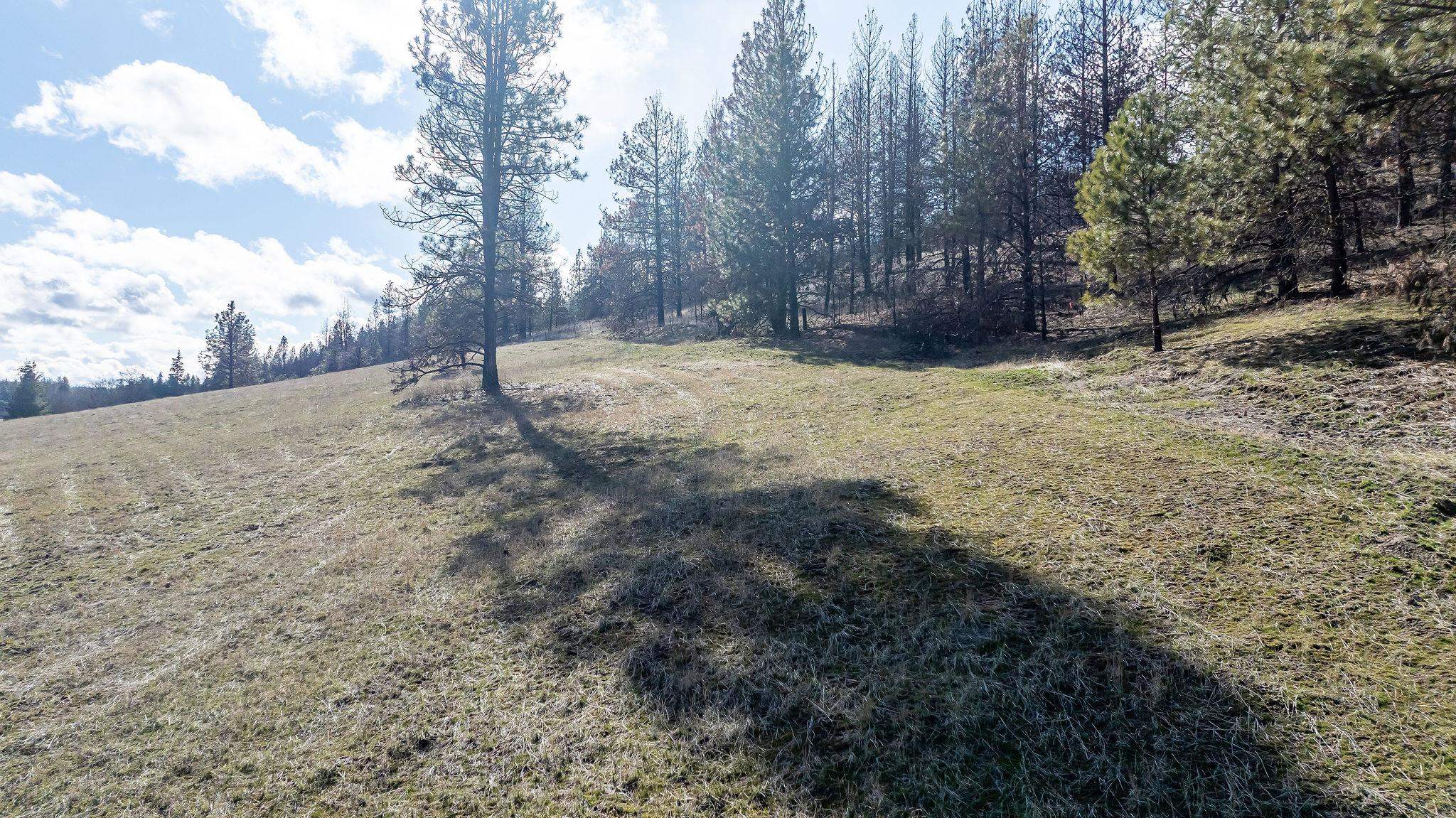 63-xx South Marshall Road Spokane, WA 99224 - Photo 18 of 36