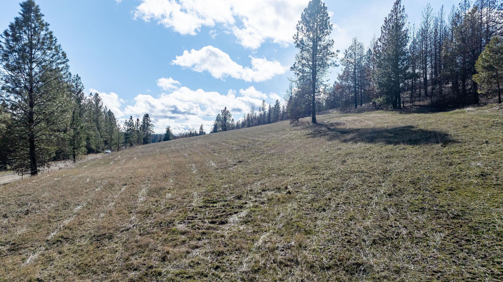 63-xx South Marshall Road Spokane, WA 99224 - Photo 20 of 36