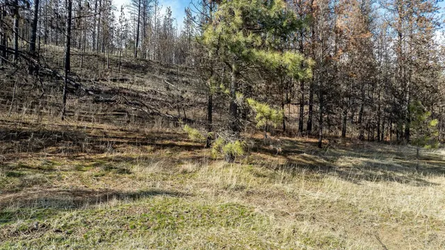 $195,000 | 63-xx South Marshall Road, Spokane, WA 99224