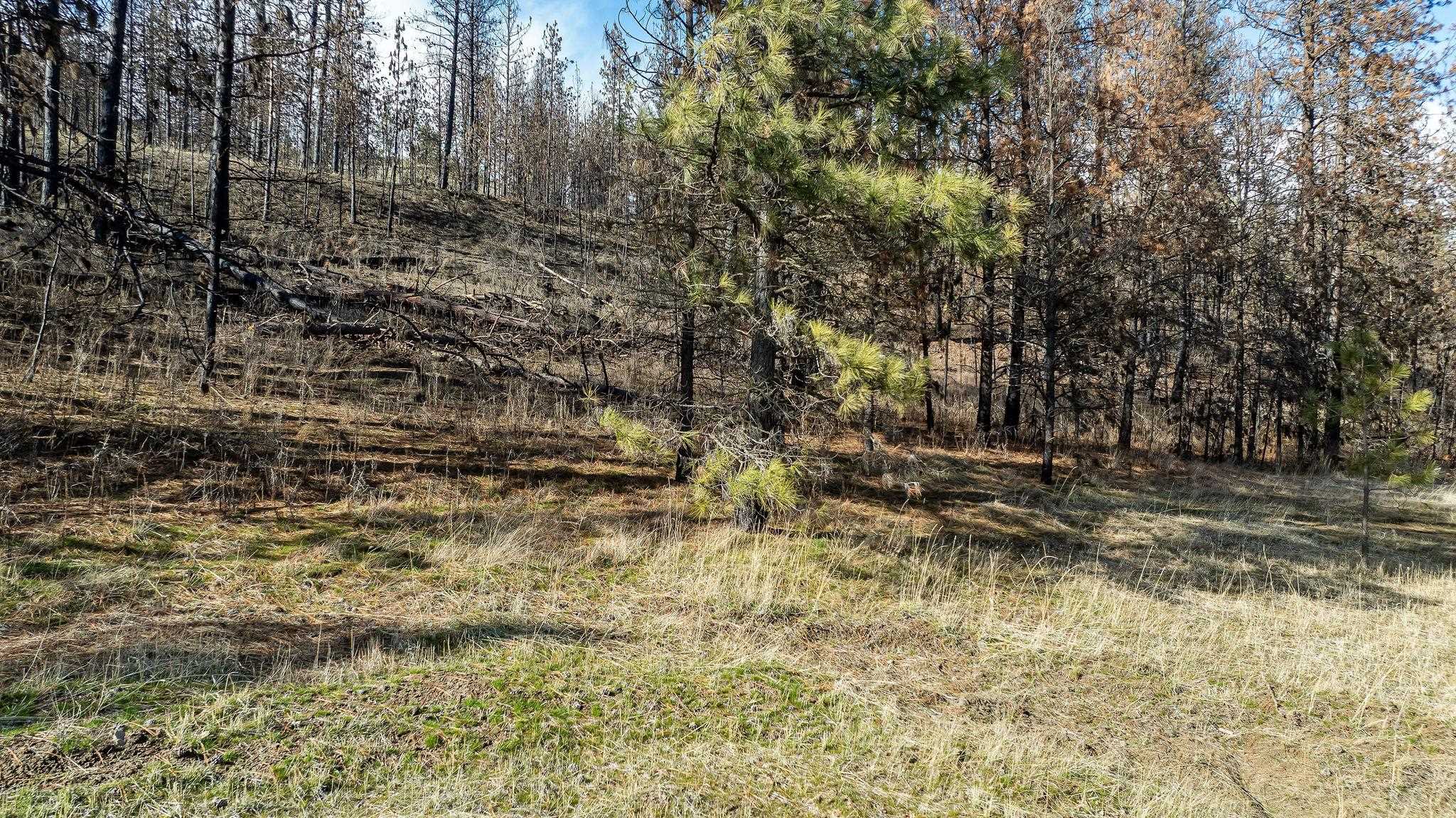 63-xx South Marshall Road Spokane, WA 99224 - Photo 22 of 36