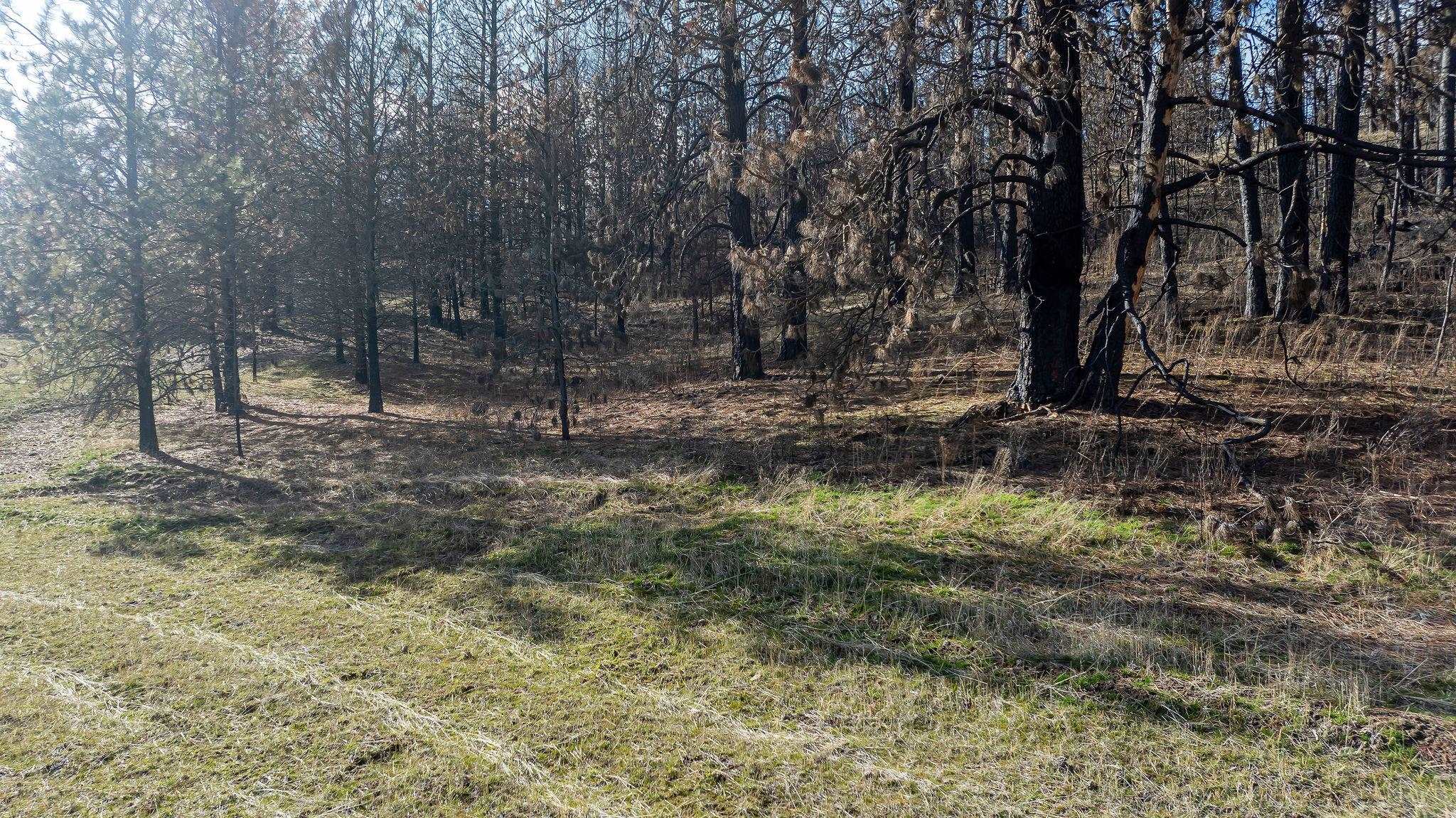 63-xx South Marshall Road Spokane, WA 99224 - Photo 23 of 36