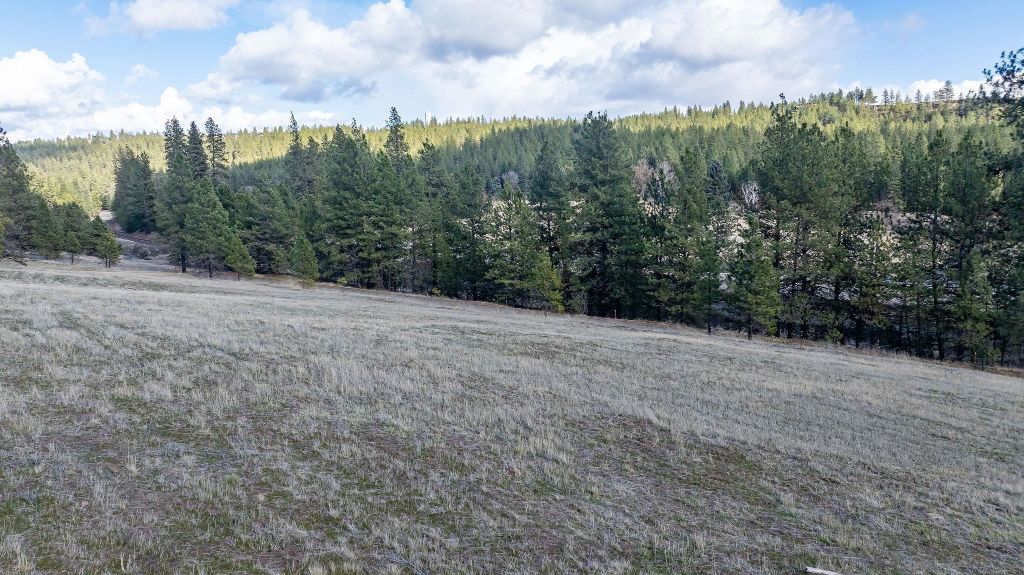 63-xx South Marshall Road Spokane, WA 99224 - Photo 9 of 36