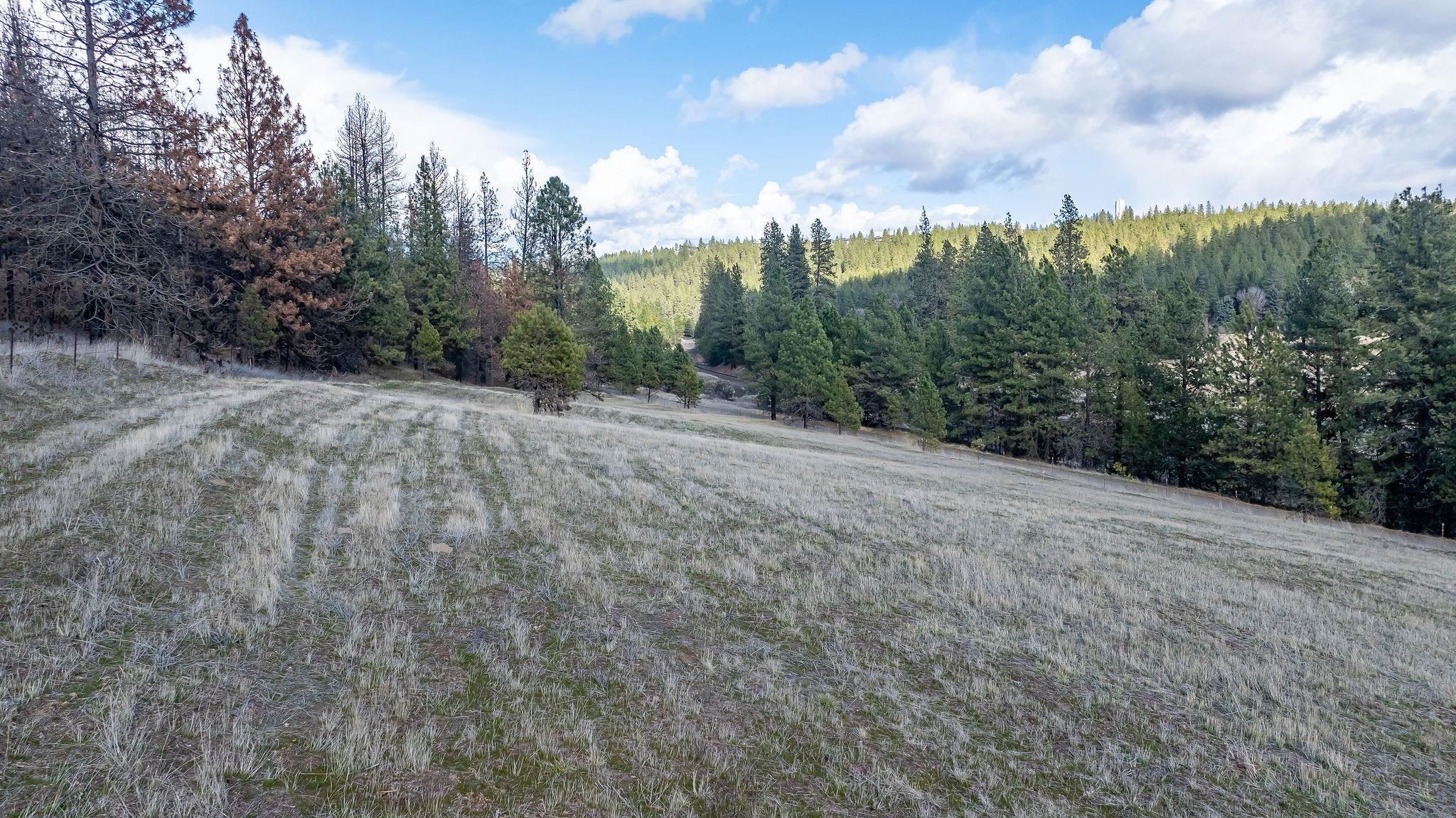 63-xx South Marshall Road Spokane, WA 99224 - Photo 10 of 36