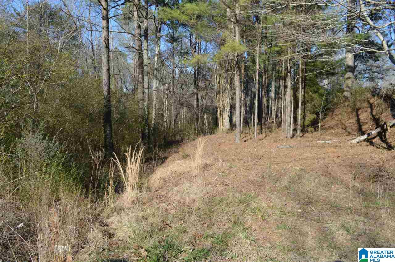 1900 Sanie Road Odenville, AL 35120 - Photo 45 of 48