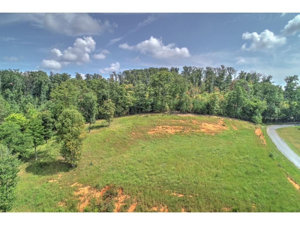Tbd Cobb Road, Unit 8 Surgoinsville, TN 37873 - Photo 10 of 19 Photo 10