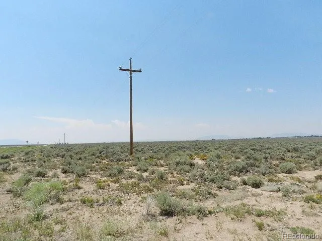 a view of a dry yard