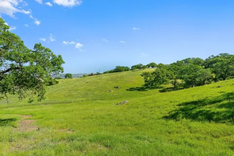 a view of a field with an trees