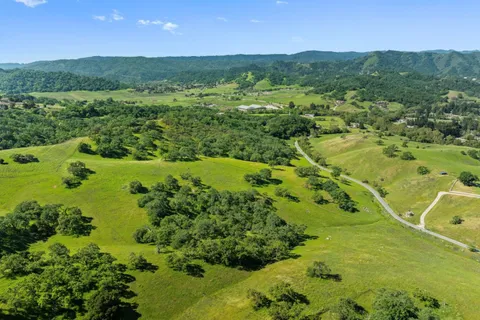 a view of a lush green forest with a lake