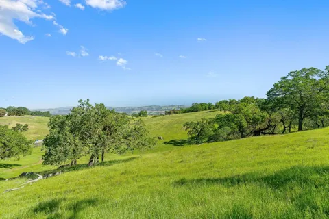 a view of a green field with lots of green space