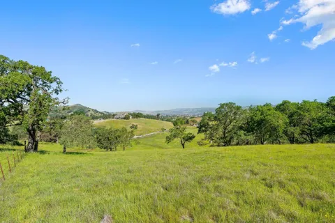 a view of a field with an trees