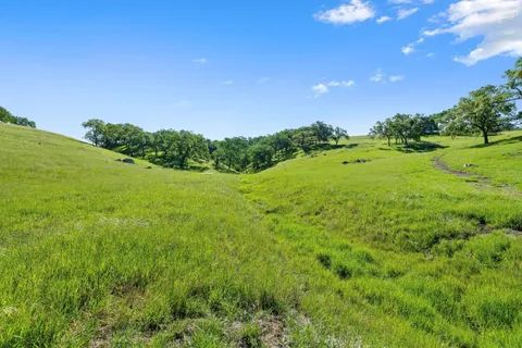 a view of a large yard with lots of green space