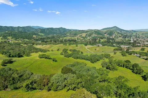 a view of a lush green field with lots of plants in it