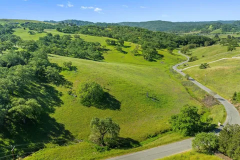 a view of a lush green forest with a lake
