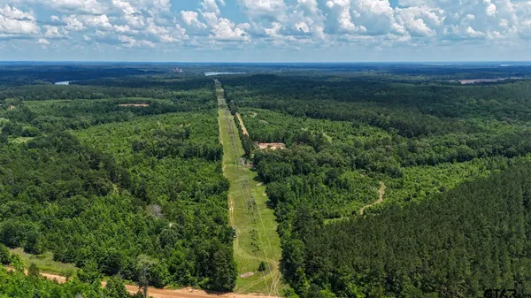$550,000 | 0 Avinger Cut Off Road, Avinger, TX 75630