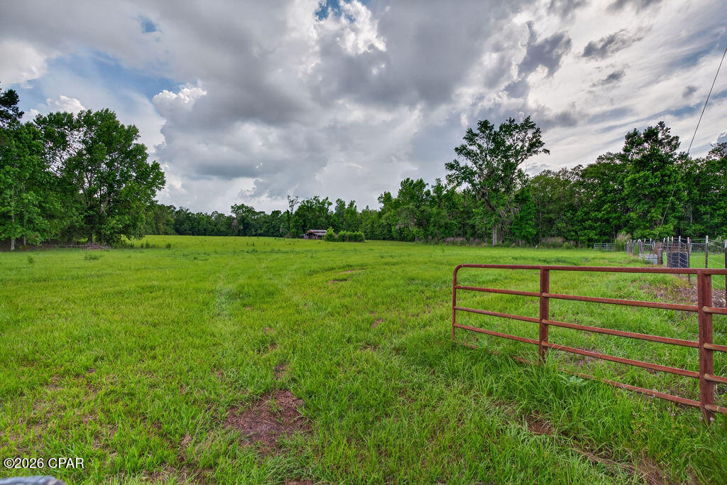 3256 Highway 77 Chipley, FL 32428 - Photo 47 of 51