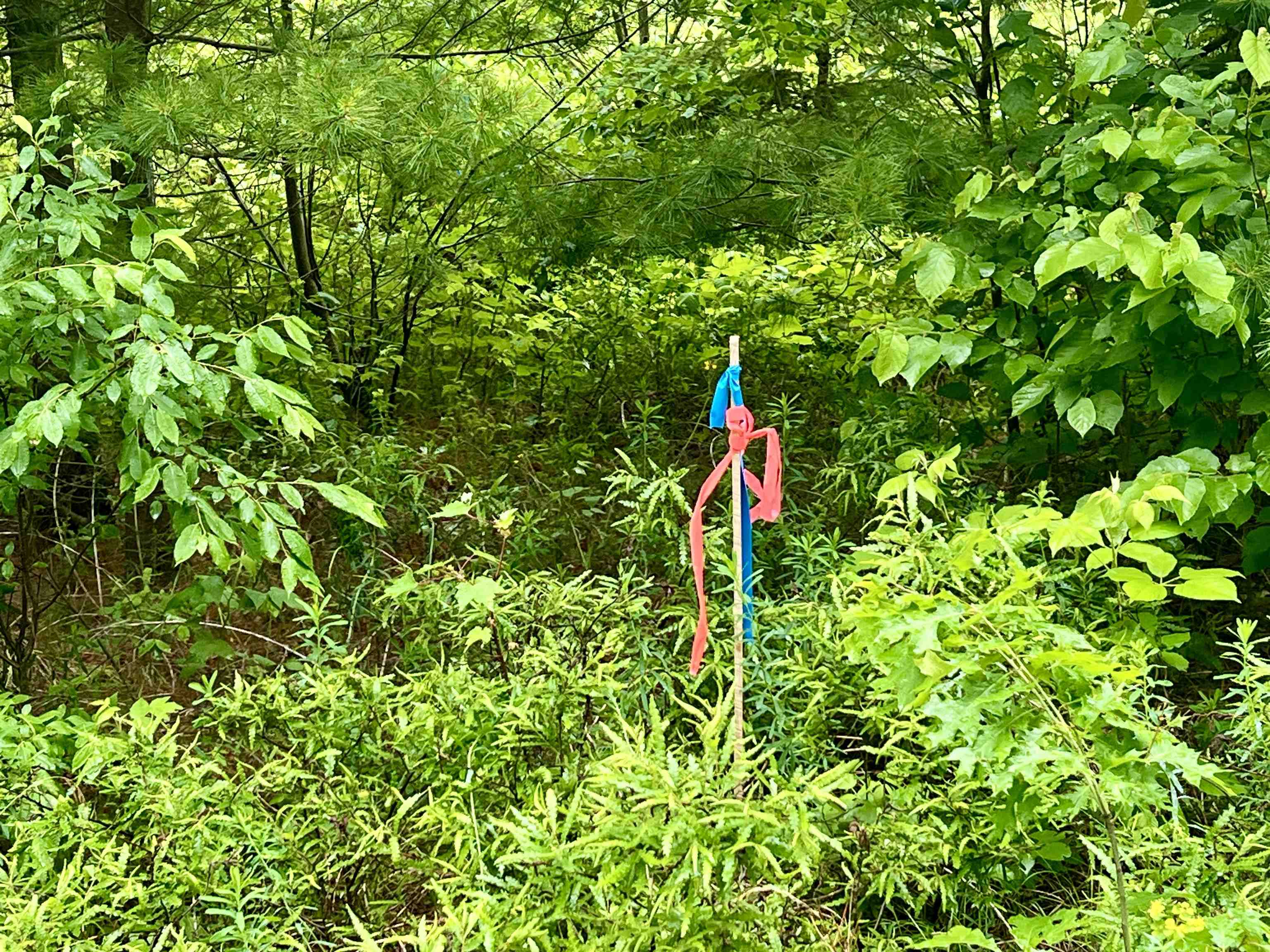 W8801 Moonshine Hill Road Crivitz, WI 54114 - Photo 10 of 39