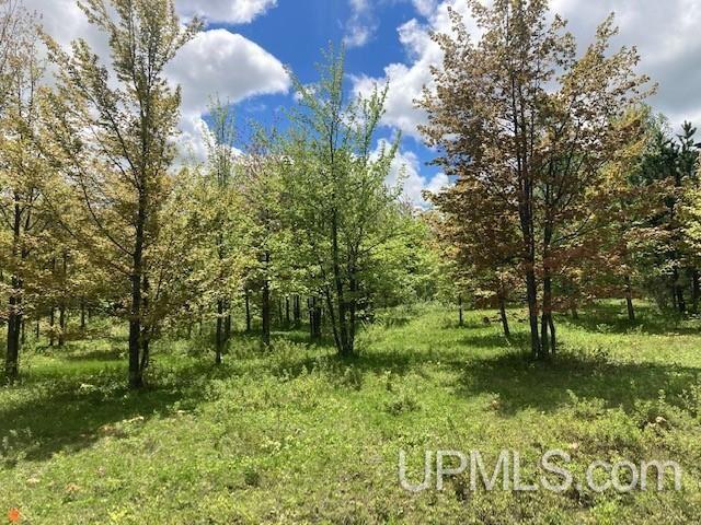 2 Boundary Road Chassell, MI 49916 - Photo 27 of 77
