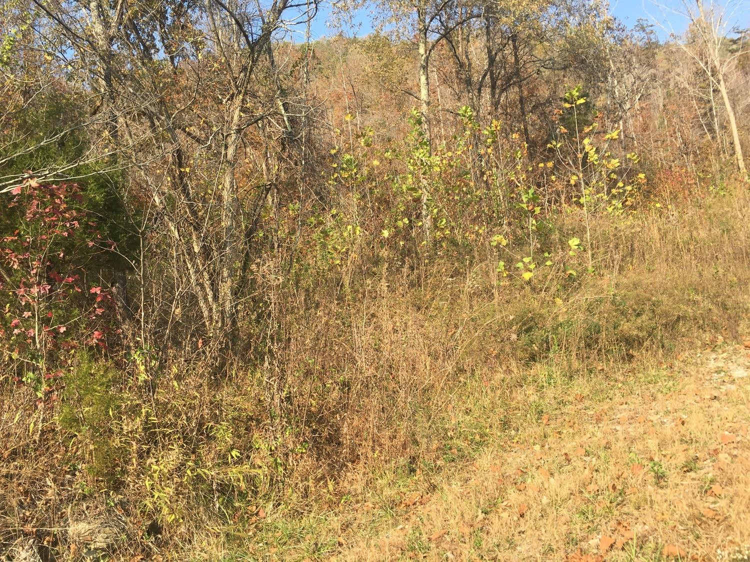 1133 Cane Creek Road Stanton, KY 40380 - Photo 20 of 22 Photo 20