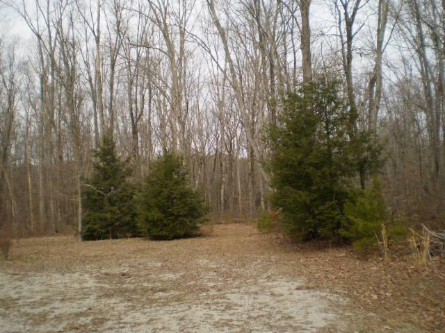6 Summerfield Pointe Road Monteagle, TN 37356 - Photo 3 of 5 Entrance to Lot 6 and Lot 5 Trail Easement from Lot 5 driveway!