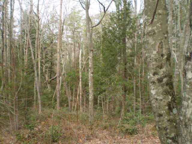 6 Summerfield Pointe Road Monteagle, TN 37356 - Photo 5 of 5 Several wonderful building sites!