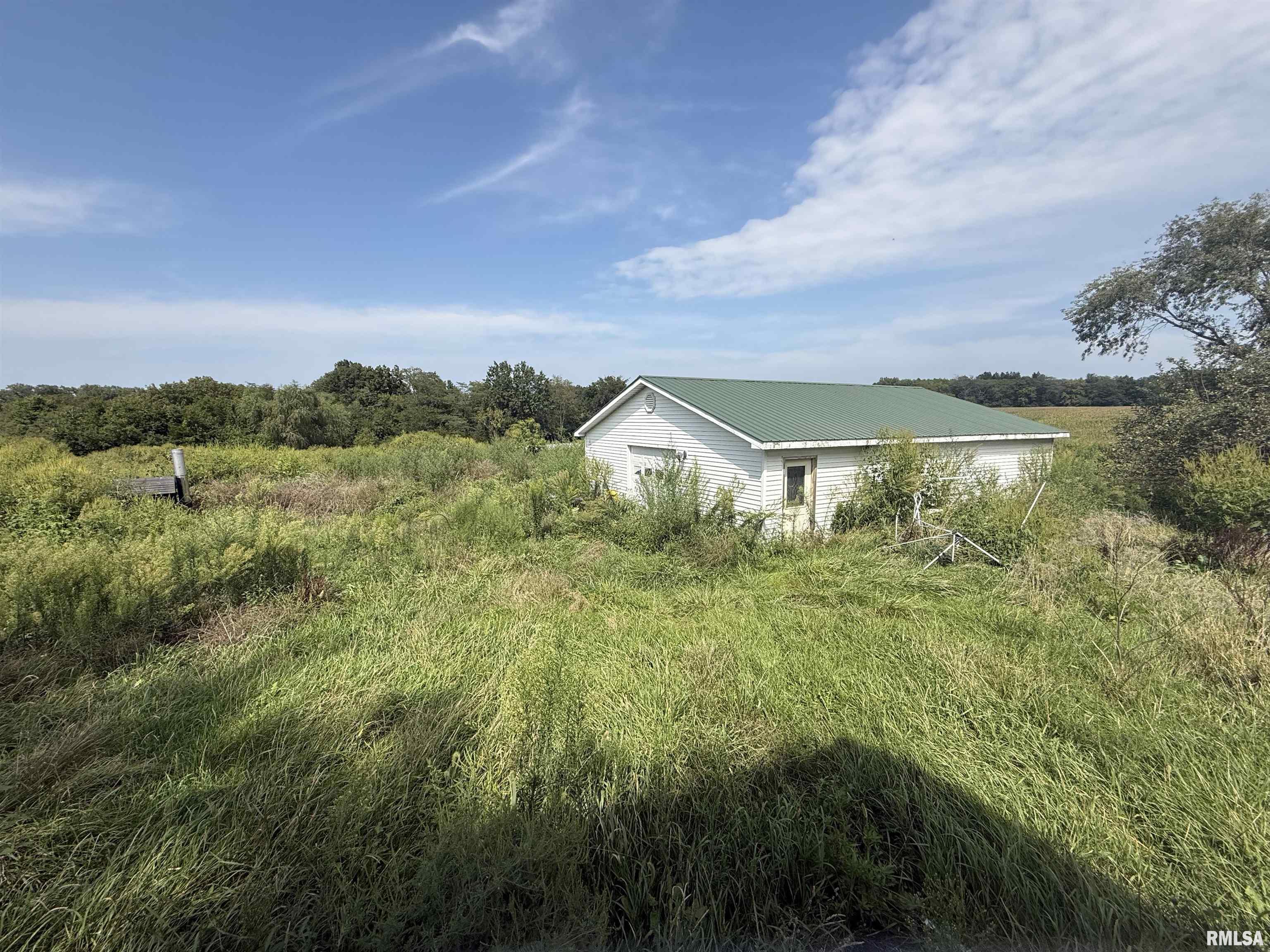 10765 North Beadle Road Ipava, IL 61441 - Photo 4 of 29 Gallery Image 4