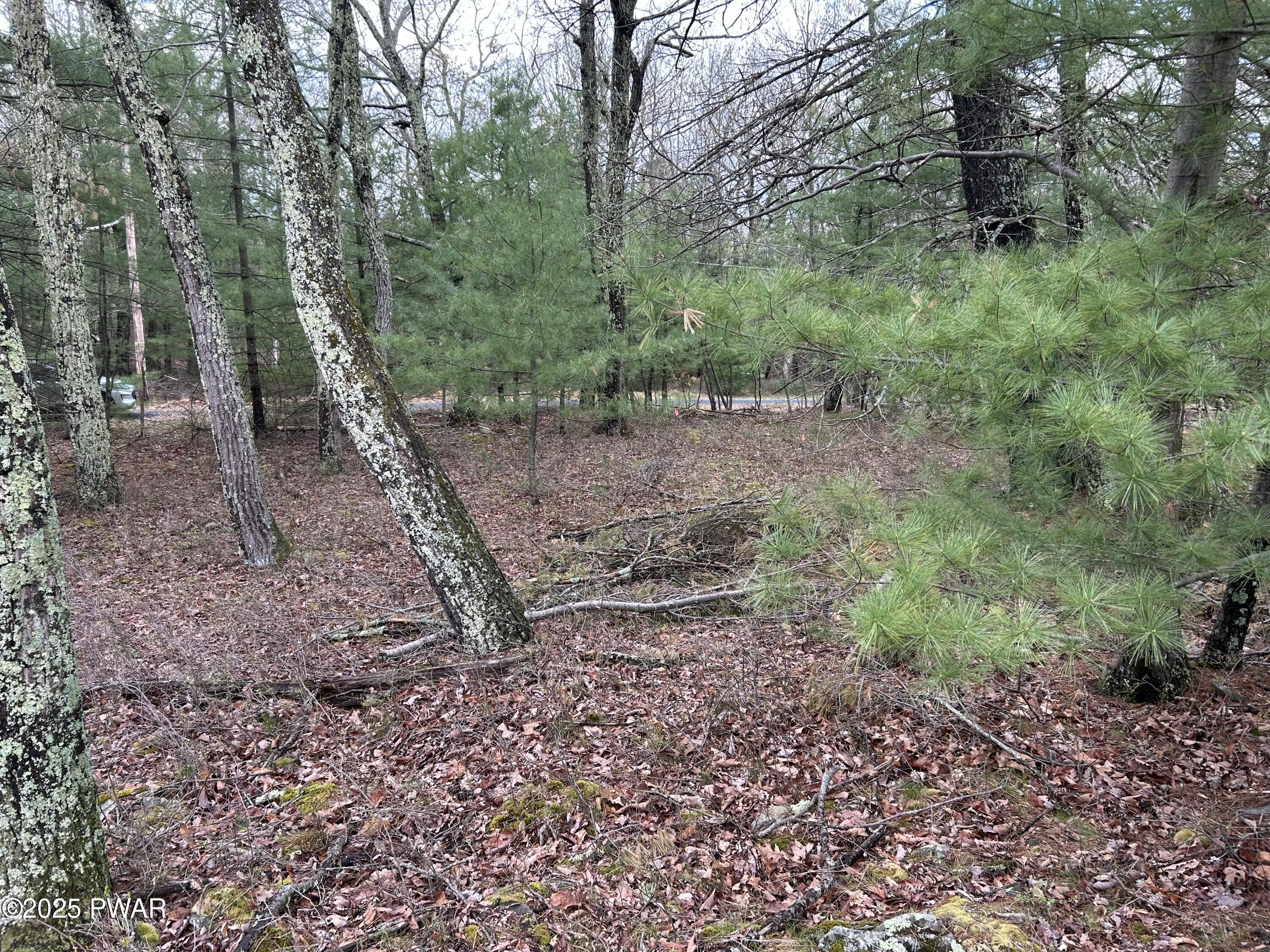 Lot 129 Pitch Pine Road Dingmans Ferry, PA 18328 - Photo 4 of 13