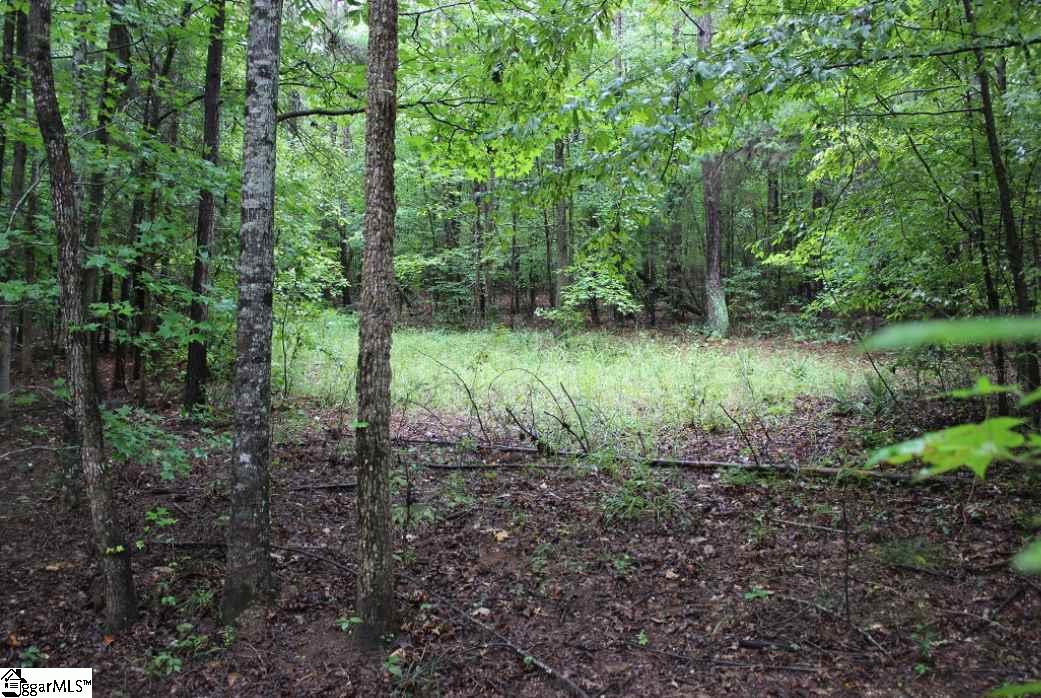 0 Scott Road Anderson, SC 29621 - Photo 2 of 12