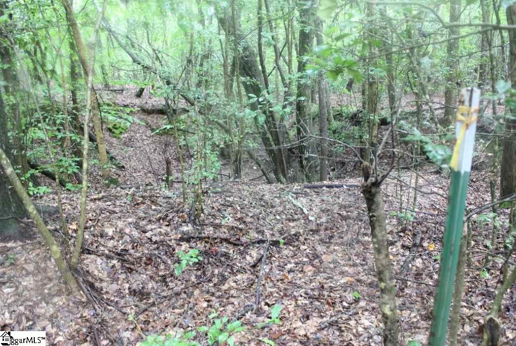 0 Scott Road Anderson, SC 29621 - Photo 3 of 12