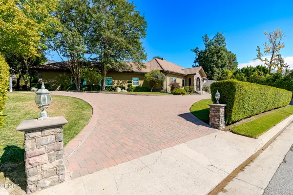 a view of a park with large trees