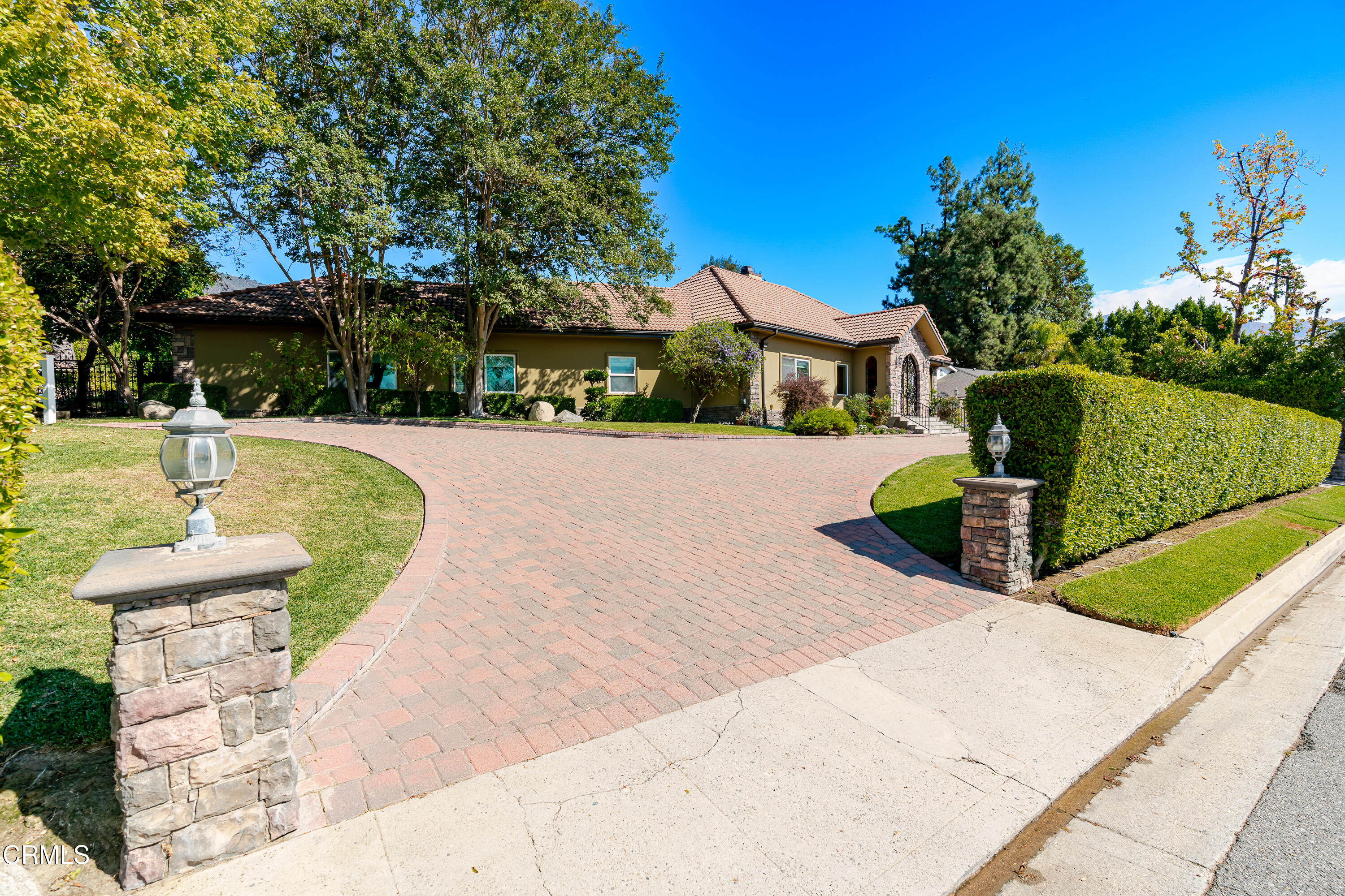 a view of a park with large trees