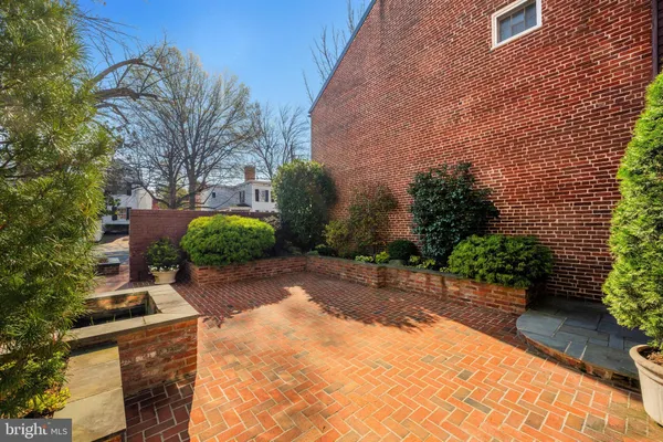 a view of a backyard with potted plants and large trees
