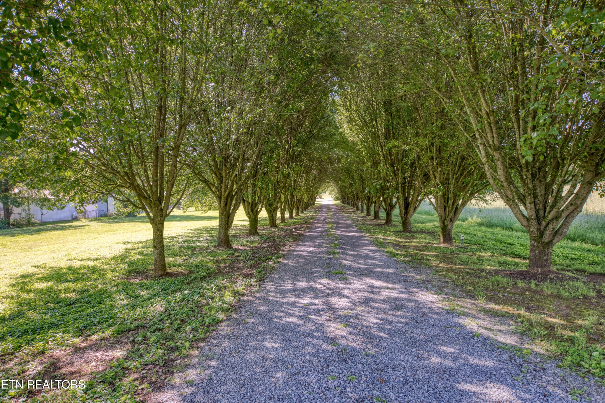 4479 Niles Ferry Road Greenback, TN 37742 - Photo 40 of 42