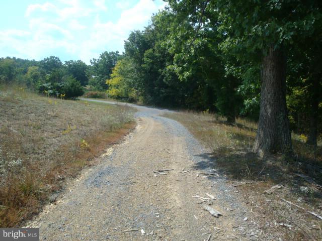 2000 Fort Valley Road Fort Valley, VA 22652 - Photo 25 of 25 a view of a dirt road with trees in the background