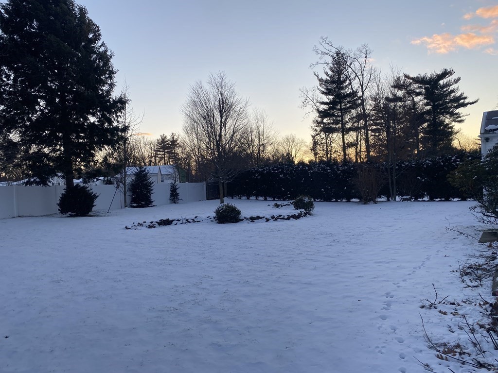 70 Woodcrest Road Springfield, MA 01129 - Photo 2 of 22 a view of outdoor space yard and covered with tall trees